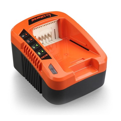 Poza Incarcator rapid acumulatori 40V 5A Redback EC50. Poza 43046
