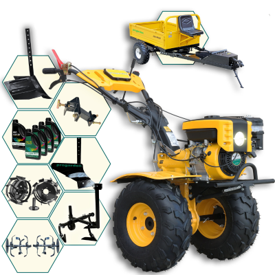 Poza Pachet ProGARDEN Campo 873 Alpine motocultor 7CP + Prasitoare PRS20-45 + Remorca RM500T + Plug simplu + Plug bilonat/rarita + Adaptor reglabil + 2 Roti metalice 350x6 + 5L Ulei. Poza 43703