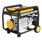 Poza Generator curent monofazat, 230V, 3kW Stager FD 3600ER Automatic, benzina, conector ATS, multistart, autonomie pana la 30h. Poza 39387