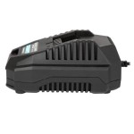 Poza Incarcator rapid, Detoolz, pentru acumulator 20V, incarcare 4.5A/h. Poza 39321