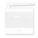 Poza Termostat ambient Homplex 19 WI-FI ALB programabil, fara fir, cu control vocal Google Assistant si Alexa. Poza 29726