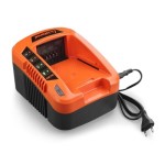 Incarcator acumulatori 40V 2A Redback EC20
